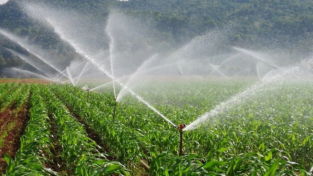 Sprinkler Irrigation