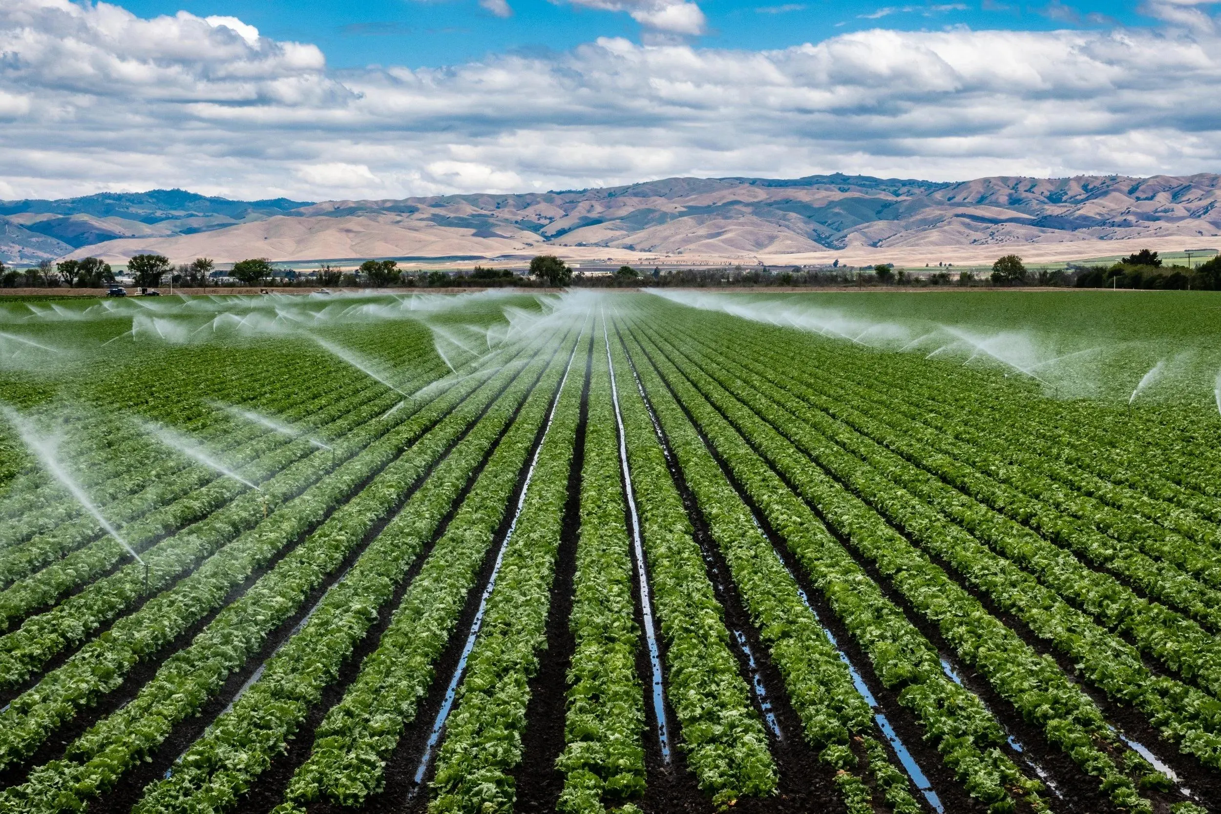 Agricultural Irrigation