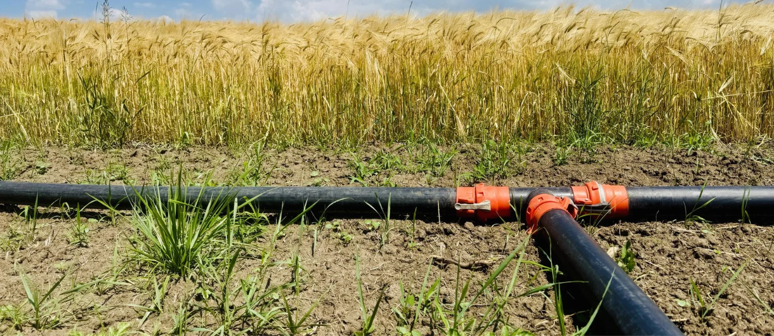Sprinkler Pipes